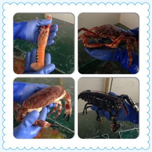 7858d4e4e7e511e2b38022000a9e070a_7