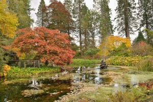 Source: https://www.google.co.uk/url?sa=i&rct=j&q=&esrc=s&source=images&cd=&cad=rja&docid=A7CfBiBkzCdx9M&tbnid=u52pO5I3-lt7yM:&ved=0CAMQjhw&url=http%3A%2F%2Fwww.flickr.com%2Fphotos%2Fclickandpray%2F8321880937%2F&ei=YJJVUpeRHYO40QWd6YGIBA&bvm=bv.53760139,d.d2k&psig=AFQjCNFgdVYHTn4ECS3zKrdgJLhGeRgIKg&ust=1381426093504143