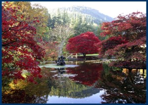 source: scottishcaravanner.com