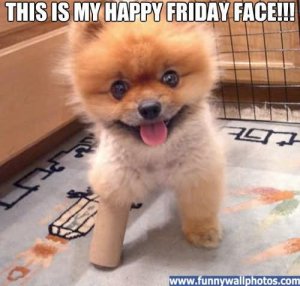 this-is-my-happy-friday-face