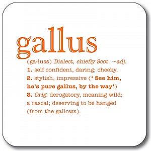 gallus dialect coaster