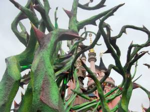 1016671_10204009493290262_3218972161796082859_n