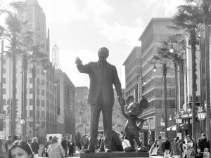 1654350_10204009532851251_4376289191950371749_n