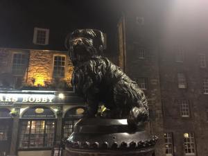 11150582_10205289937500567_1329209158898386702_n