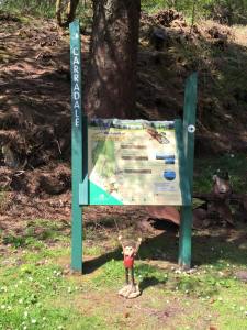 11201816_10205454068203732_2382688515841606873_n