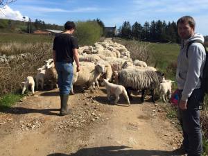 11205116_10205454051923325_4516894978296913964_n