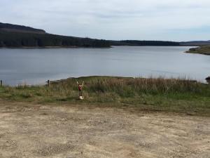 11233180_10205454048843248_4083361309913785435_n