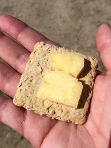 13390_10205454054523390_7827998607820944405_n